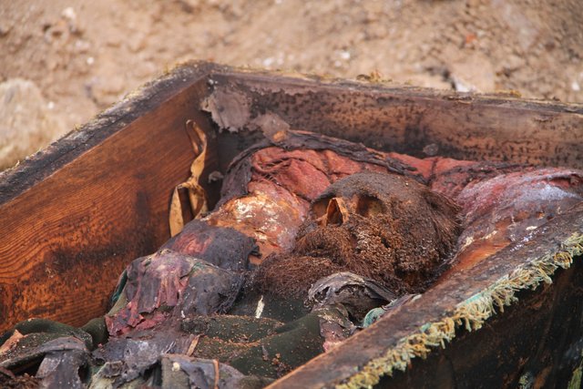 Rus Yarbay Karl Karloviç Rjepetski’nin hemşire torunu savaşta öldürülmüş