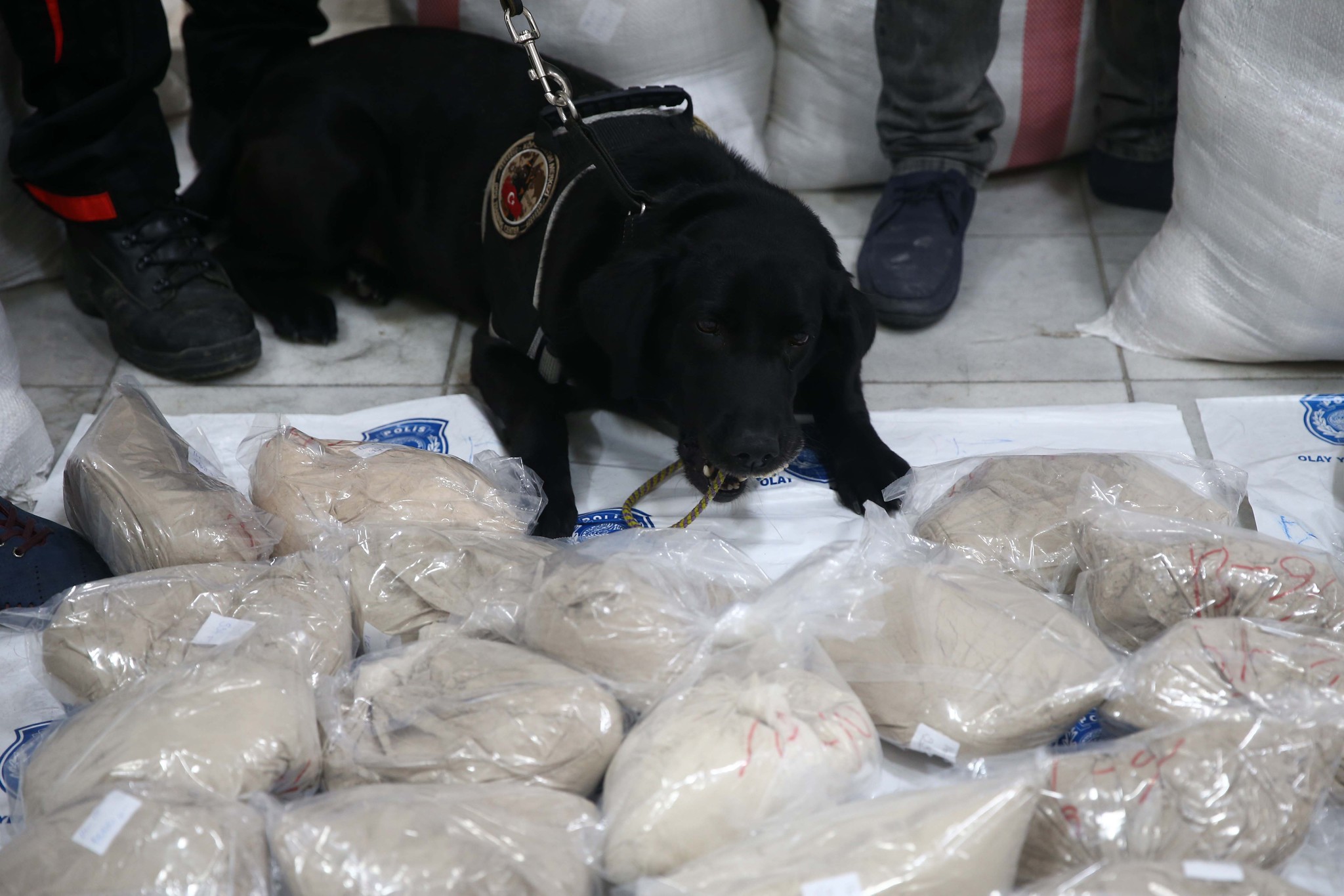 SAT’lardan Süveyş’te 26 dakikada operasyon