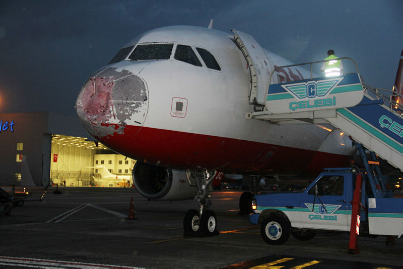 Yolcu uçağını bu hale getirdi