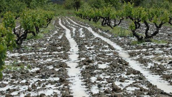Dolunun hiç bilmediğiniz bir faydası var