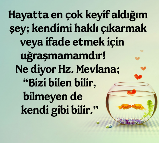 resimli-mevlana-sozleri-1505986529716.png
