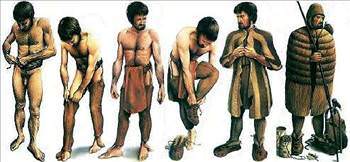 otzi_clothes_d.jpg