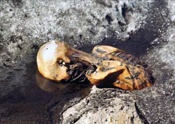 otzi_the_iceman_images_d.jpg