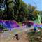 Central Park'ta g�rsel ��len