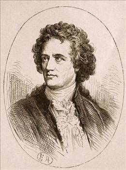 Goethe'nin hayat�