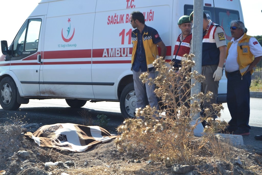 Yol kenarında ölü bulundu