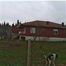 �l il sat�l�k �iftlikler