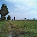 �l il sat�l�k �iftlikler