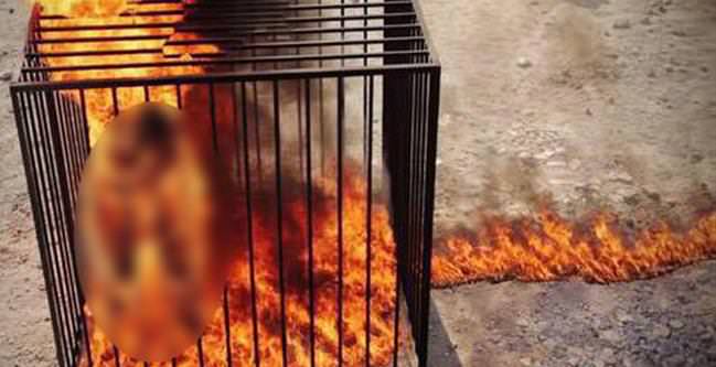 IŞİD’e özenip arkadaşlarını yaktılar