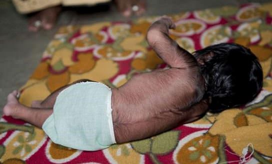 İşte kurt adam ailesinin en küçük üyesi