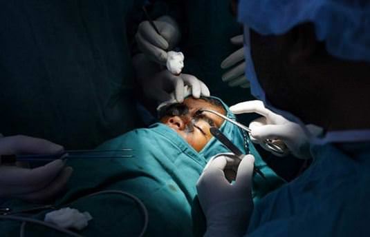 İşte kurt adam ailesinin en küçük üyesi