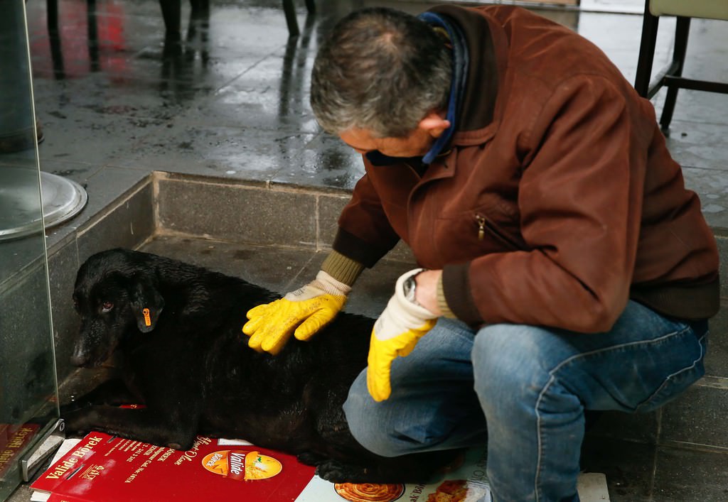 Şehit polisin beslediği köpek kulübenin önünden ayrılmadı
