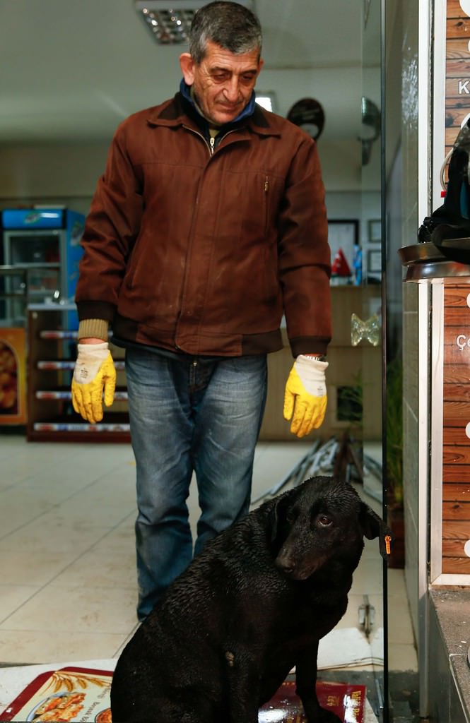 Şehit polisin beslediği köpek kulübenin önünden ayrılmadı