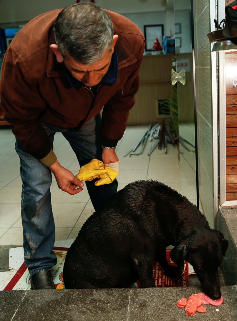 Şehit polisin beslediği köpek kulübenin önünden ayrılmadı