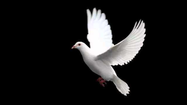 PKK’ya silah bırak çağrısı Avrupa medyasında