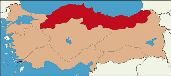 İşte bölge bölge son anket