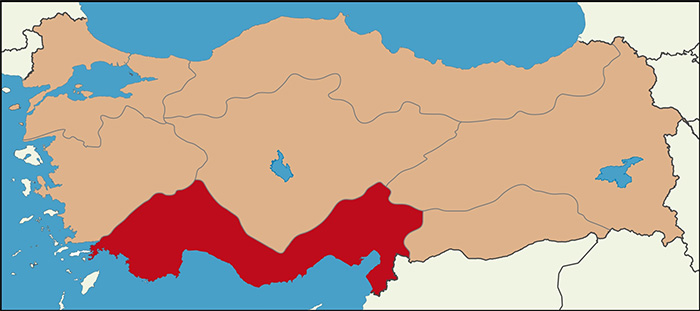 İşte bölge bölge son anket