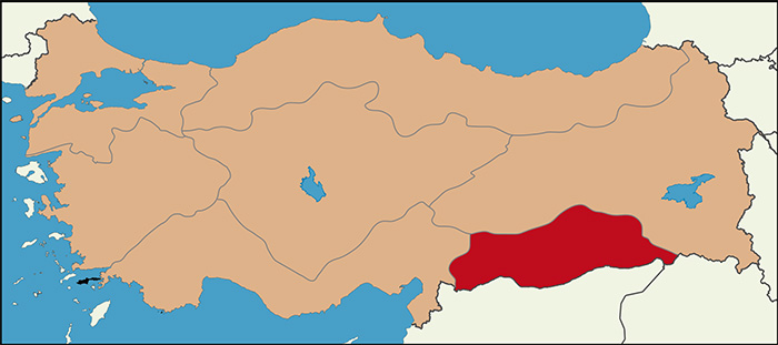 İşte bölge bölge son anket