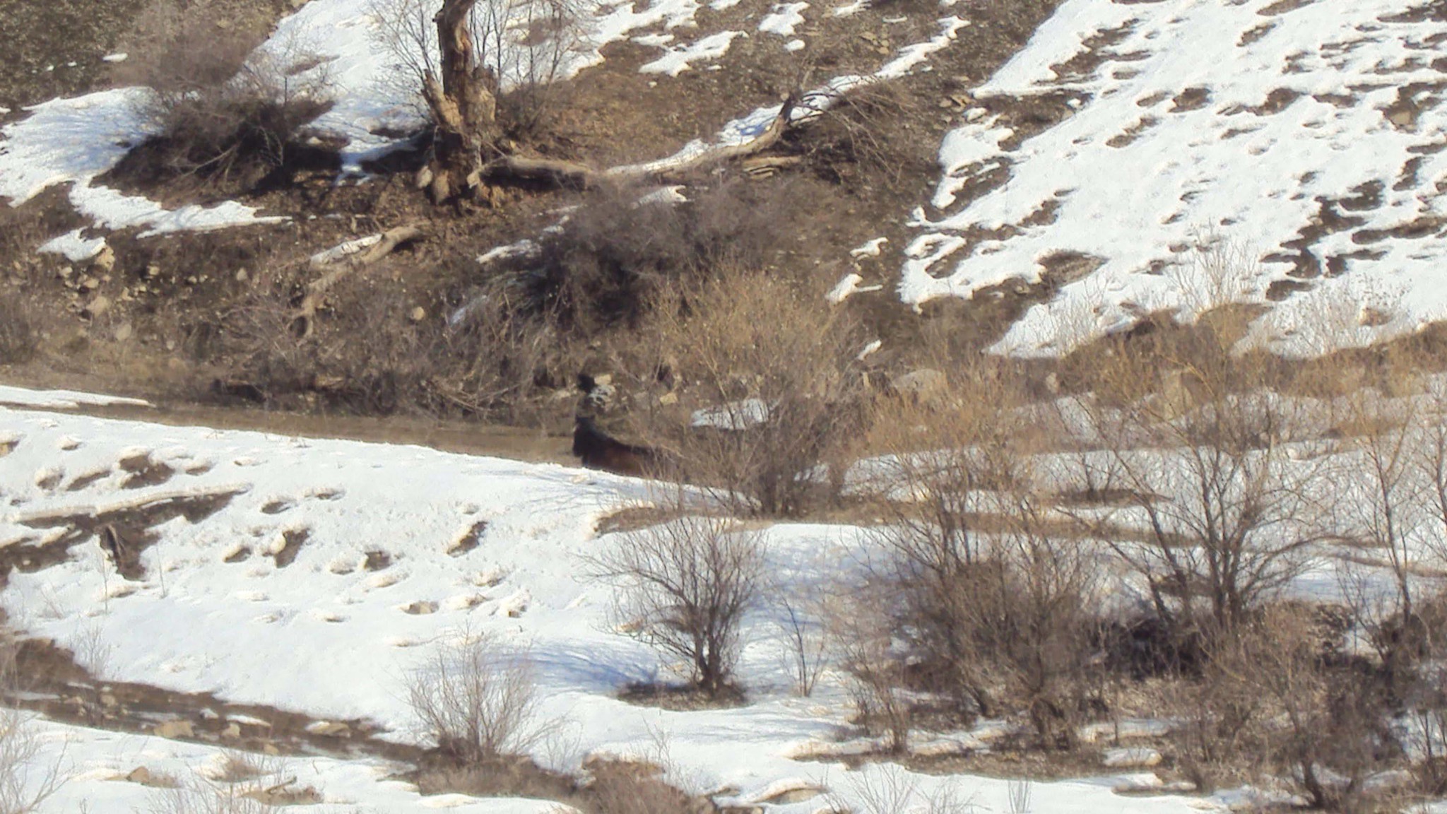 İnleri mezarları oldu! Çok sayıda terörist öldürüldü