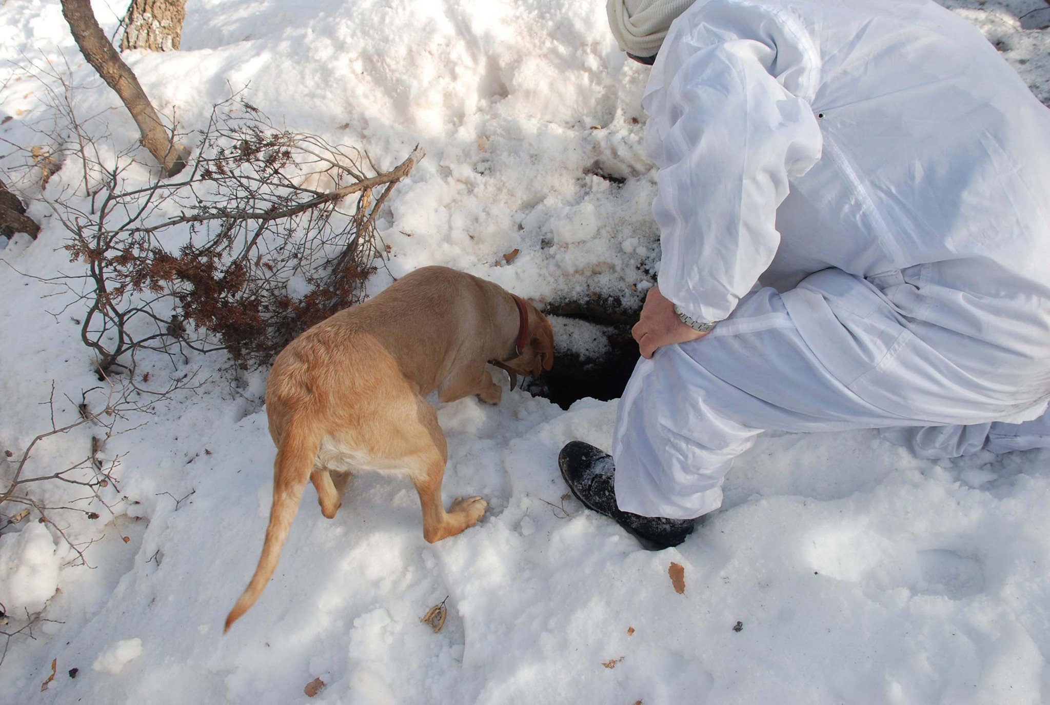 İnleri mezarları oldu! Çok sayıda terörist öldürüldü