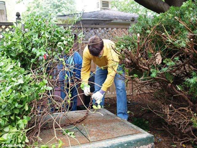 Arka bahçelerinde öyle şeyler buldular ki