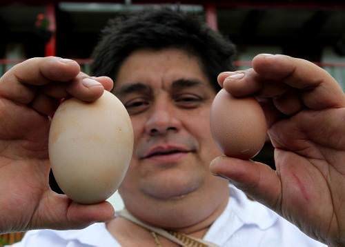 Dünyadan günün fotoğrafları (8 Şubat 2012)
