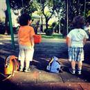 �nl�lerin objektifinden � 20.06.2013