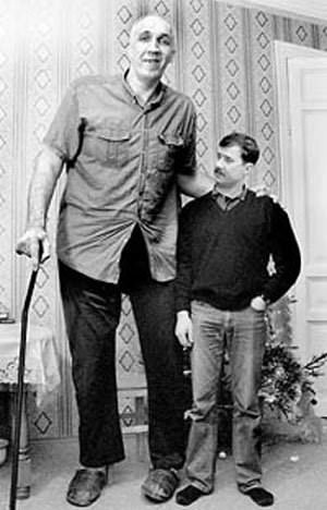 Александра Сизоненко Фото