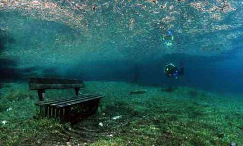 beautiful_underwater_meadow_640_02_d.jpg