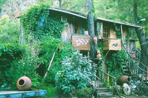 Olimpos ağaç evler Turkish Hacking &amp; Security