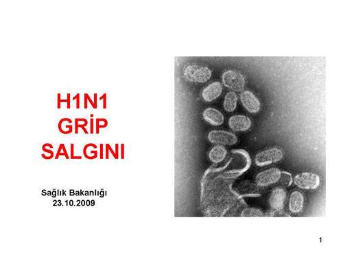 Sa�l�k Bakanl���'n�n "Domuz Gribi"  sunumu