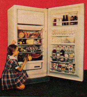 ilk yerli buzdolabi d