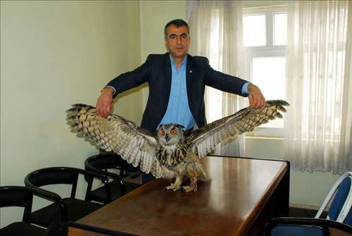 2,5 metrelik bayku� görenleri �a��rtt�