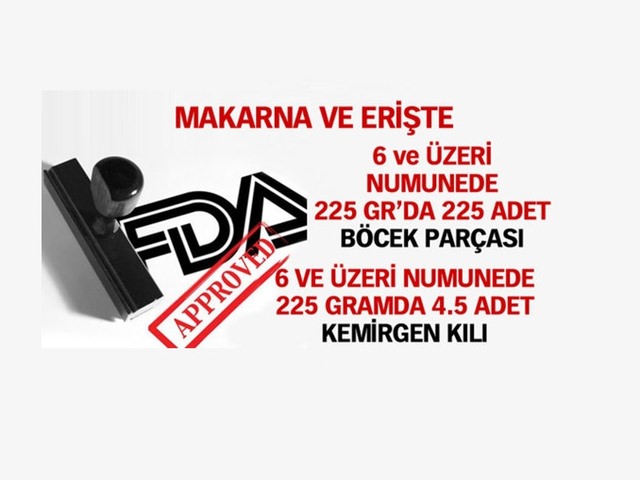 22_d.jpg