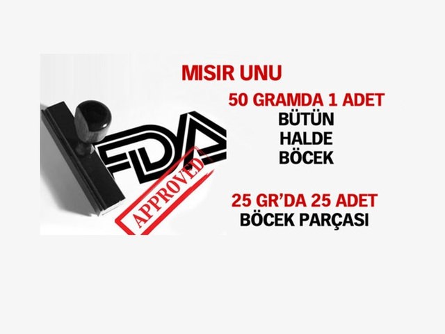 38_d.jpg
