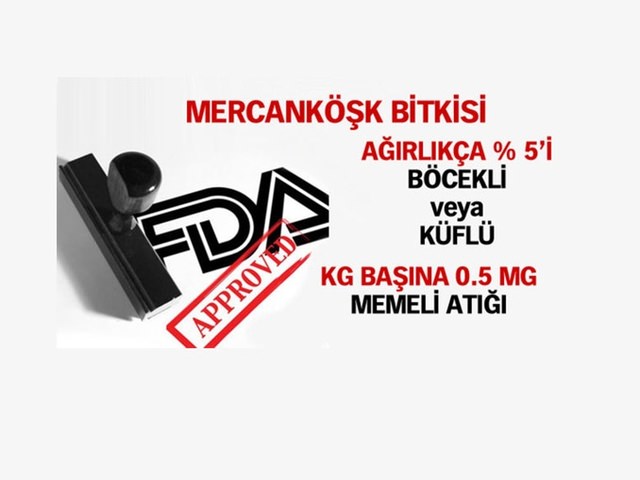 40_d.jpg