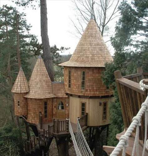 awesome_treehouses_09_d.jpg
