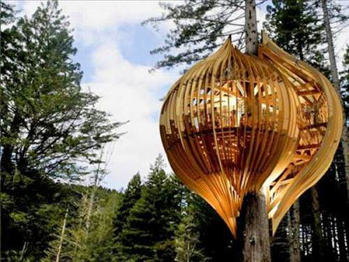 awesome_treehouses_26_d.jpg