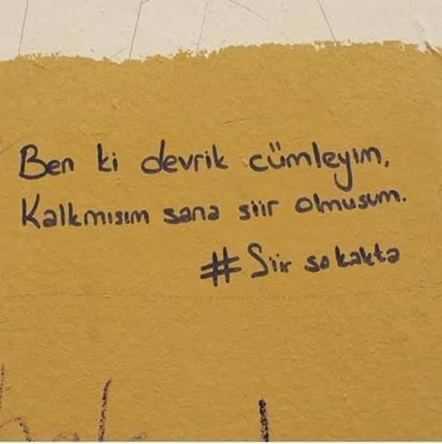 62_d.jpg
