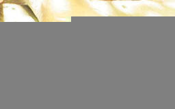 W �stanbul birinci ya��n� kutlad�