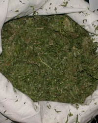 Baba-o�ul 10 kilo esrar maddesiyle yakaland�
