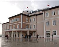 �stanbul'da Domuz Gribi pani�i