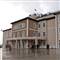 �stanbulda Domuz Gribi pani�i