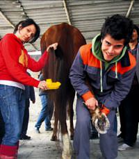 �niversiteli nalbantlar dolgun maa�a haz�r