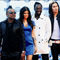 Kredit�rler Popstar�n sahibinin pe�ine d��t�