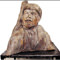 Ak�akocan�n umudu Lenin