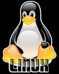 Linux'ta video montaj� m�mk�n