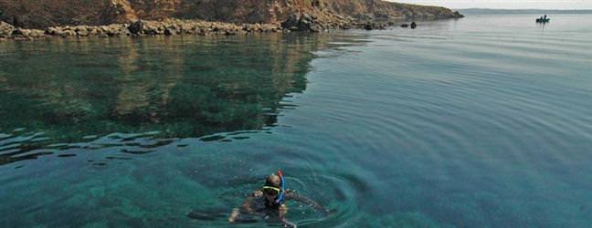 Saros K�rfezi'nde bir inci