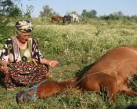 ��kence yap�larak �ld�r�ld�