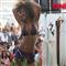 Bu tatil y�remizi tan�d�n�z m�?